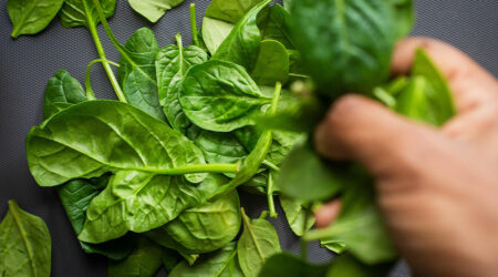 7 foods that help fight against Bronchitis