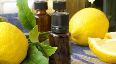8 natural scents that repel mosquitos