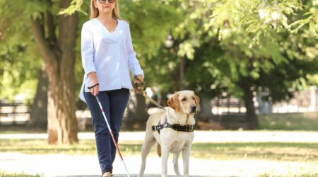 Emotional support animals – Benefits and things to consider